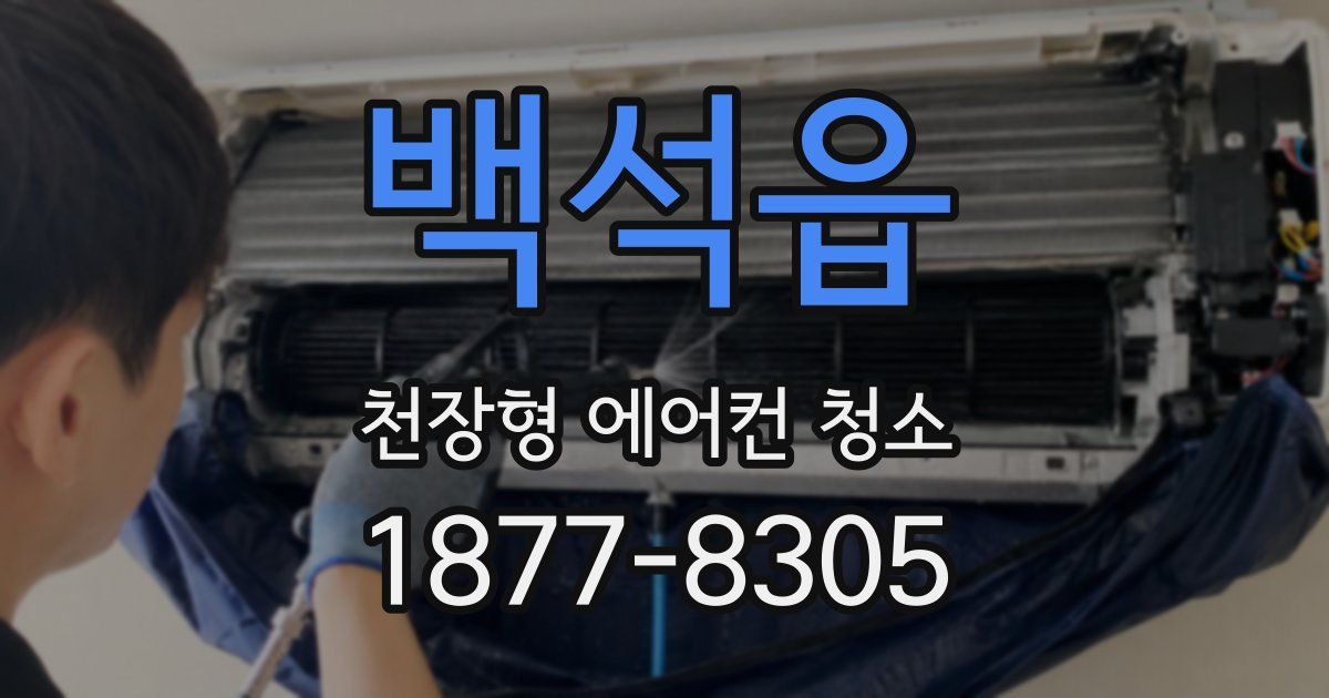 백석읍 천장형 에어컨 청소