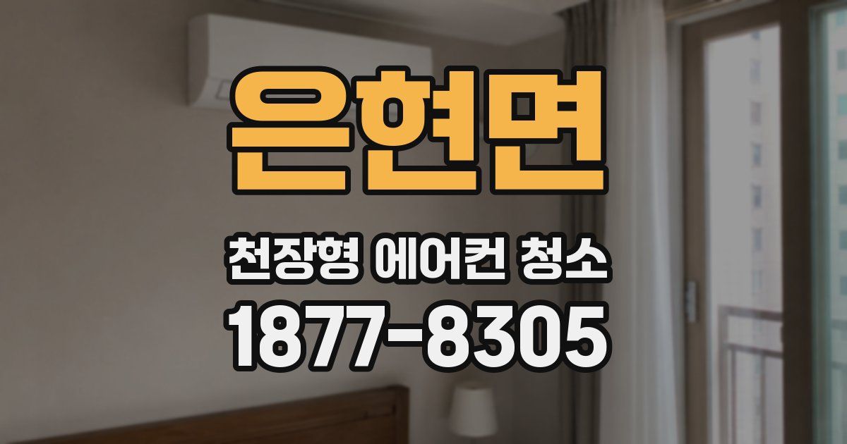 은현면 천장형 에어컨 청소