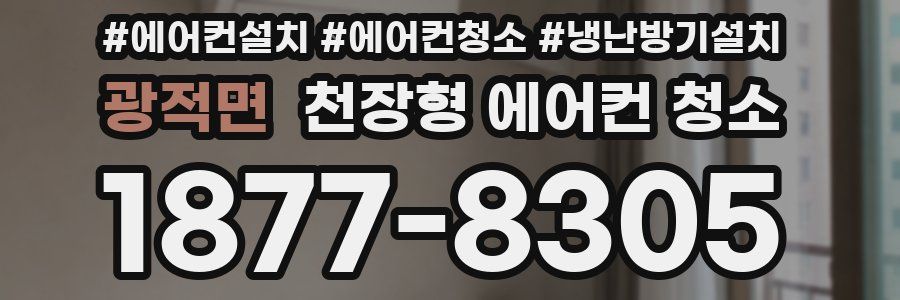 광적면 천장형 에어컨 청소