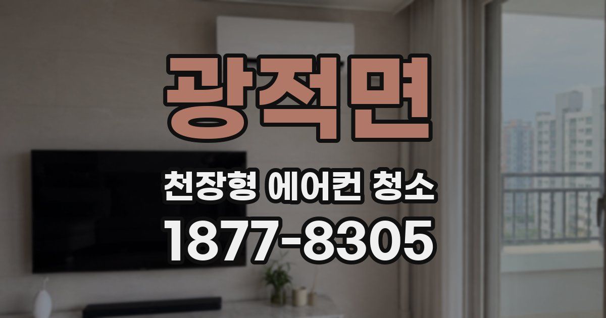 광적면 천장형 에어컨 청소