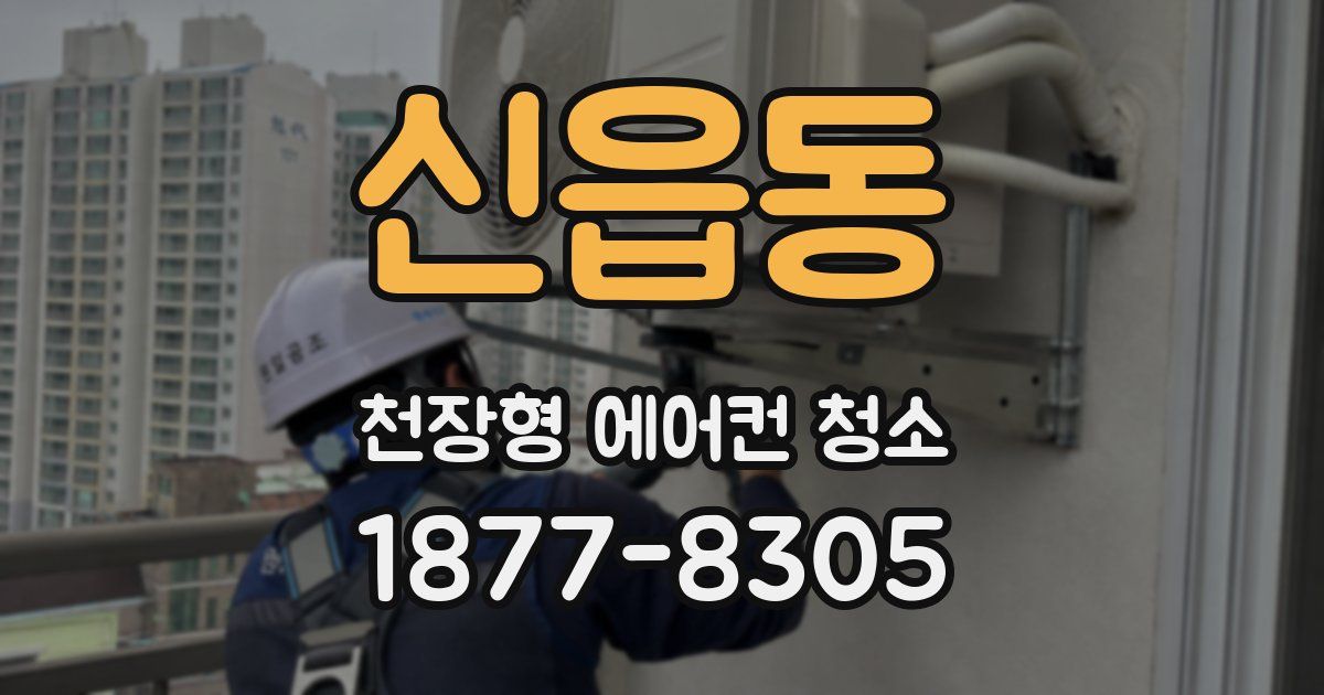 신읍동 천장형 에어컨 청소