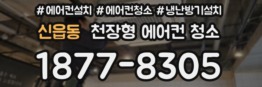 신읍동 천장형 에어컨 청소