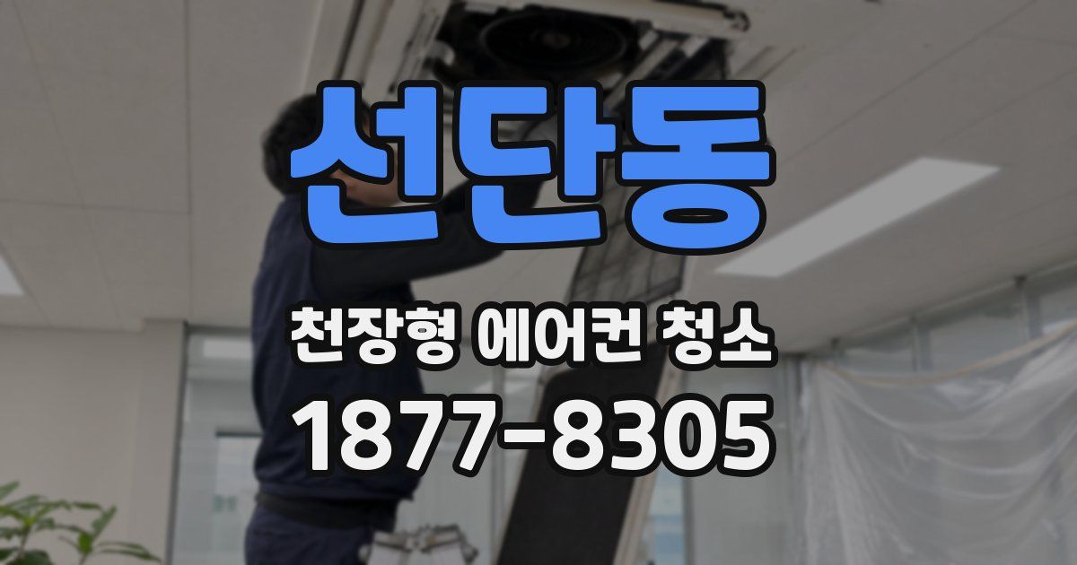 선단동 천장형 에어컨 청소