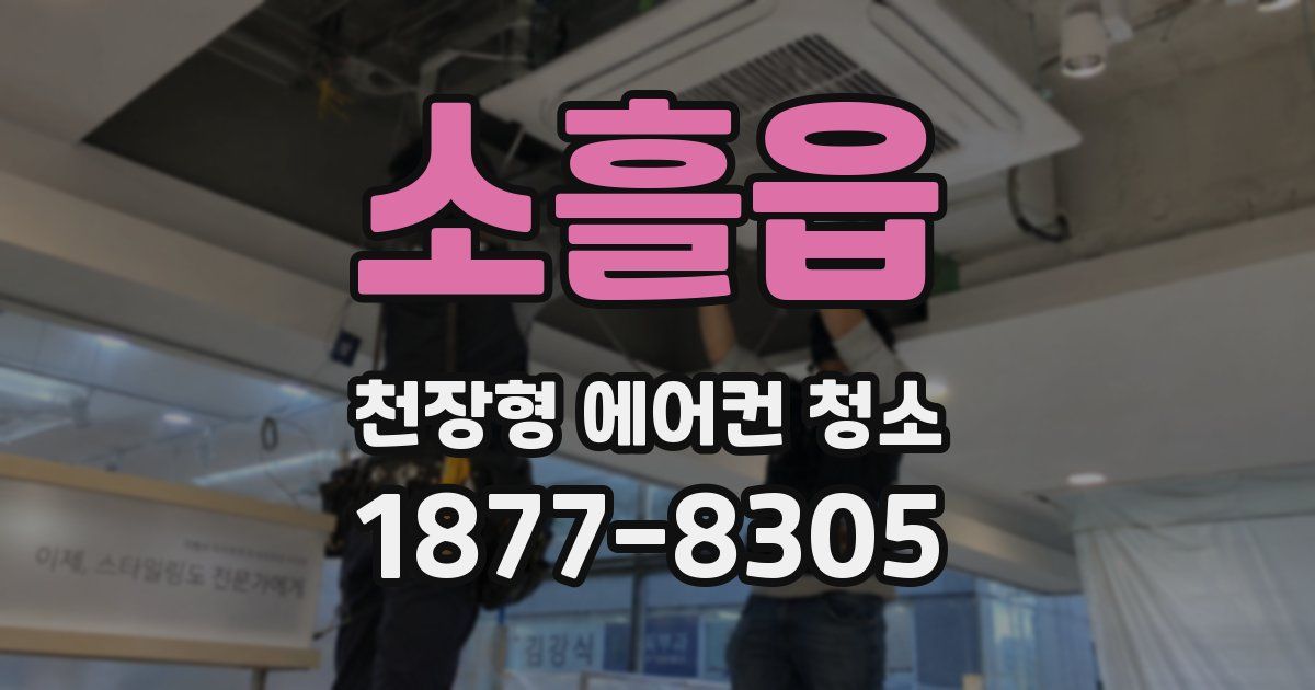 소흘읍 천장형 에어컨 청소