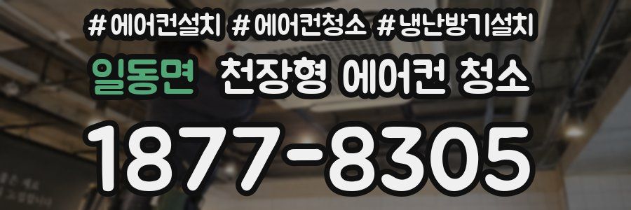 일동면 천장형 에어컨 청소