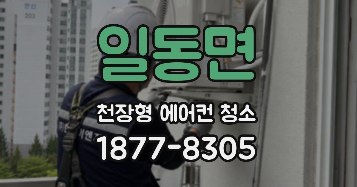 일동면 천장형 에어컨 청소