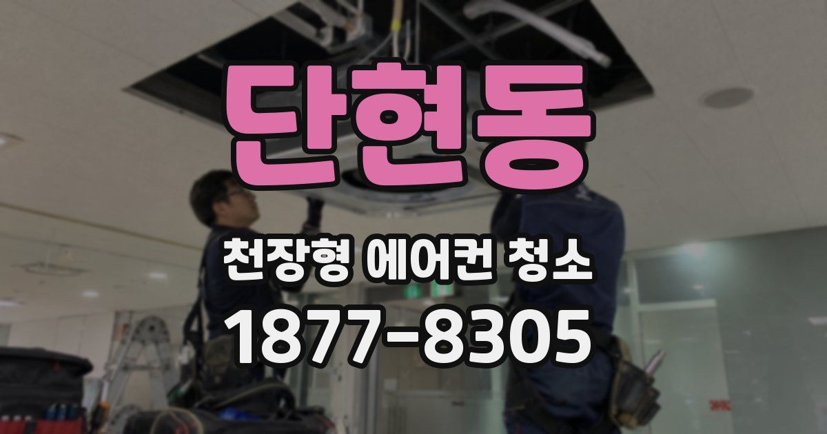 단현동 천장형 에어컨 청소