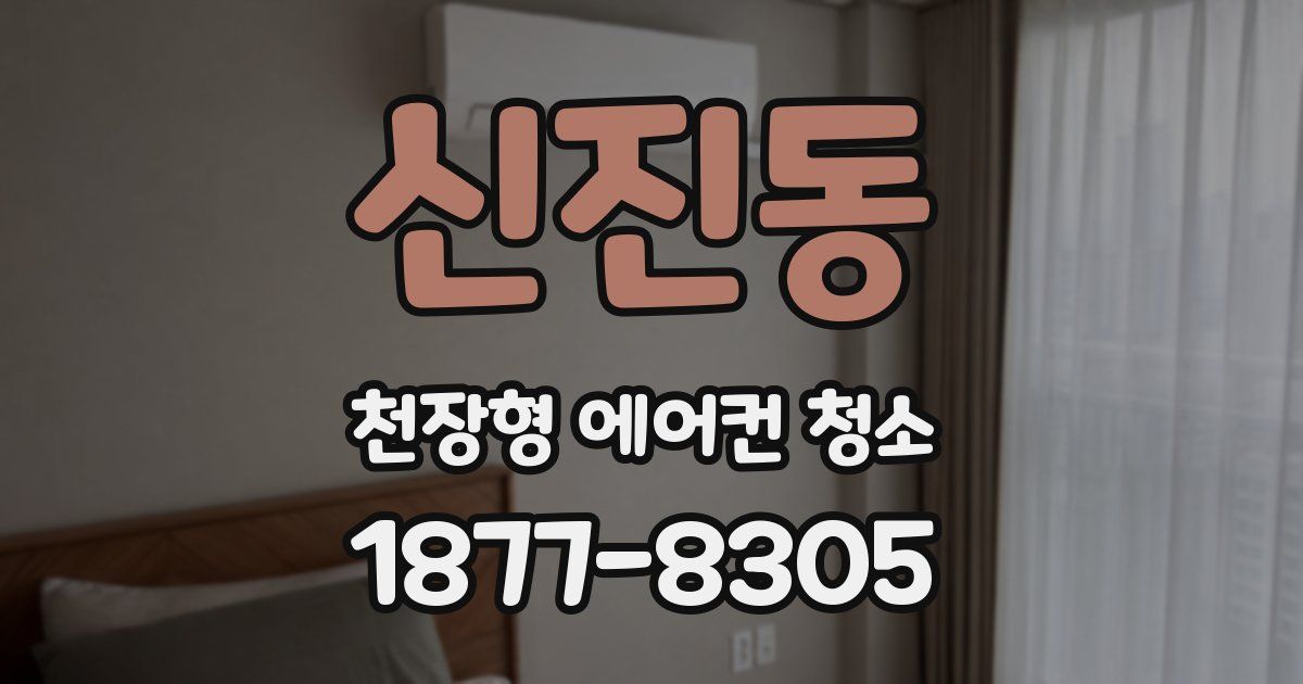 신진동 천장형 에어컨 청소