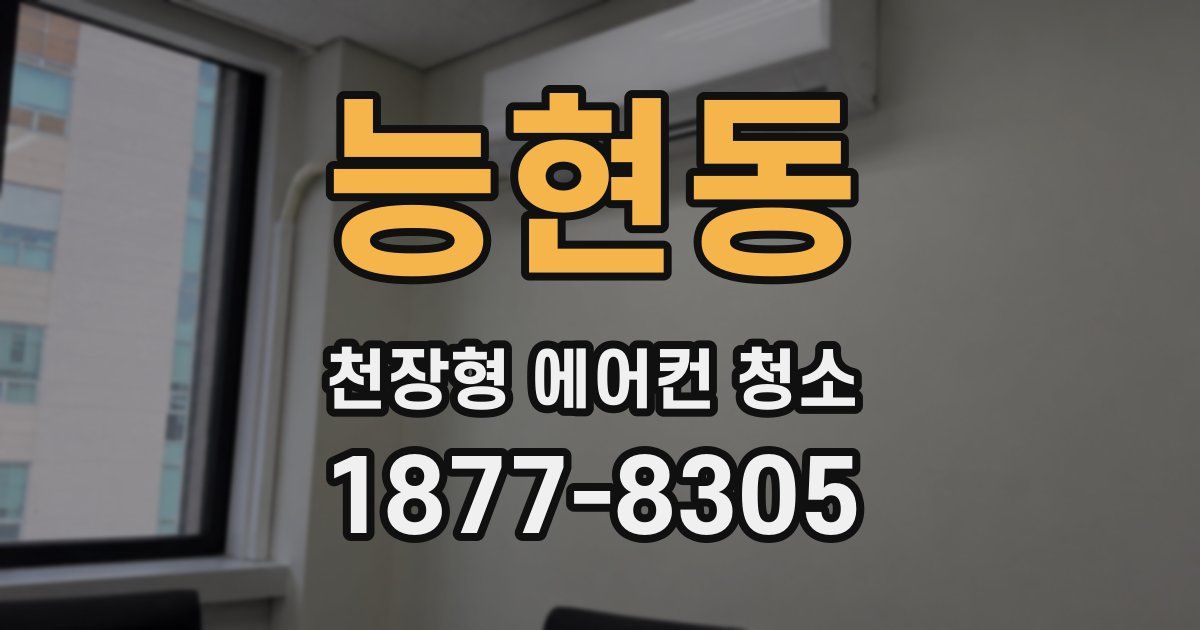 능현동 천장형 에어컨 청소