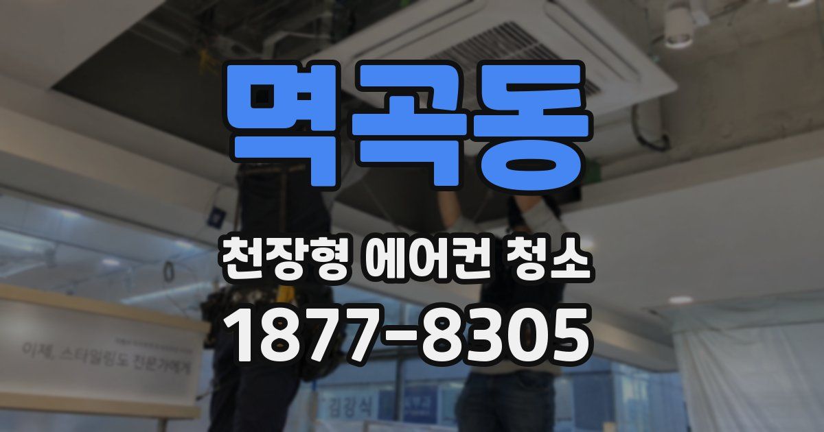 멱곡동 천장형 에어컨 청소