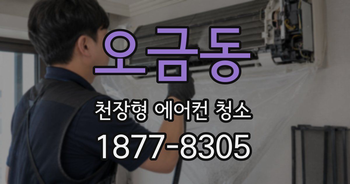 오금동 천장형 에어컨 청소