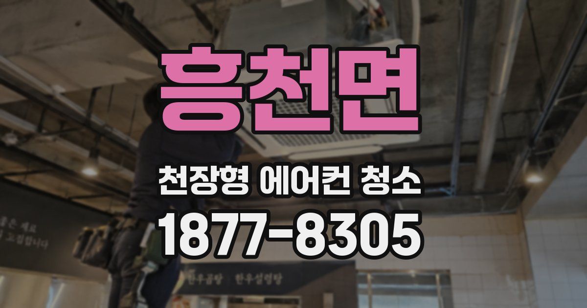 흥천면 천장형 에어컨 청소