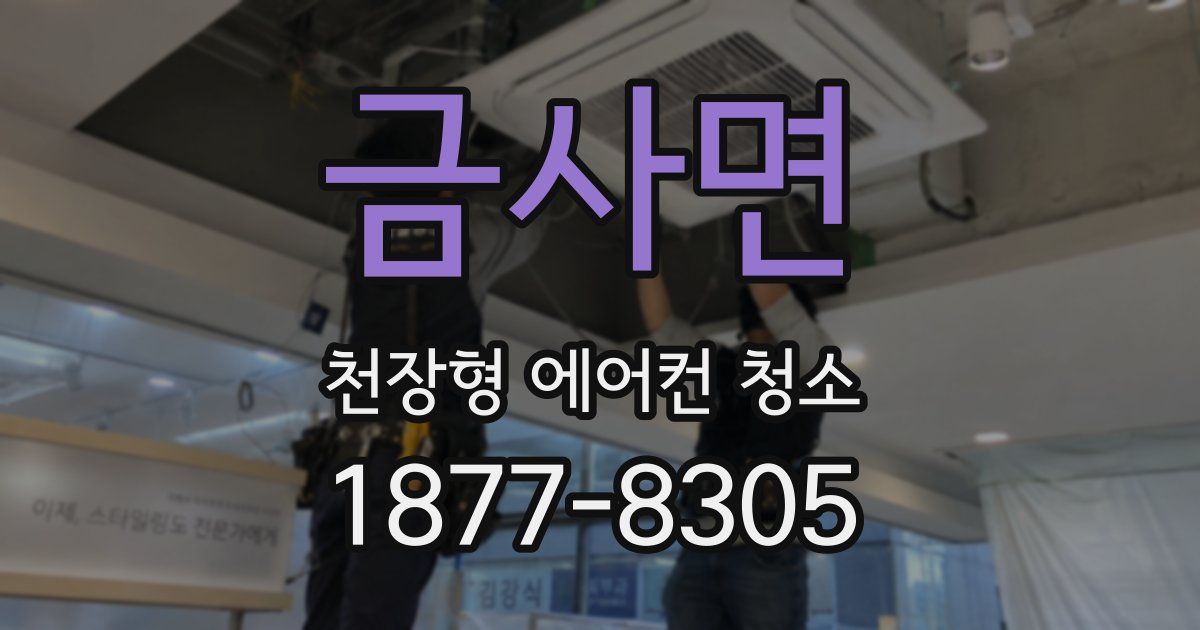 금사면 천장형 에어컨 청소