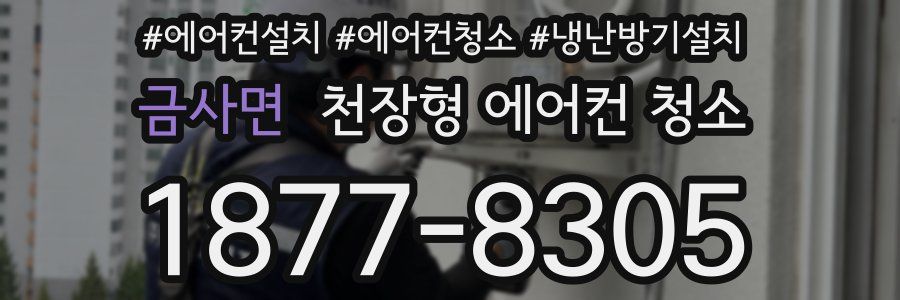 금사면 천장형 에어컨 청소