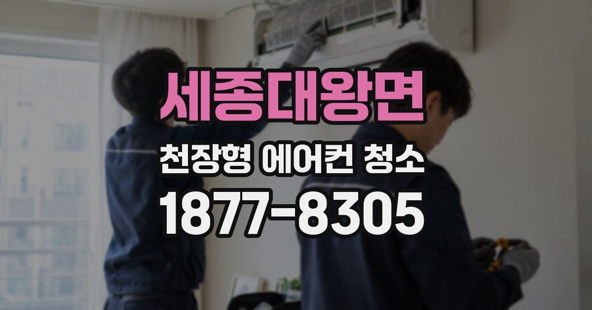 세종대왕면 천장형 에어컨 청소