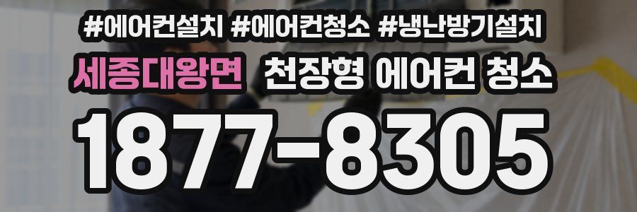 세종대왕면 천장형 에어컨 청소
