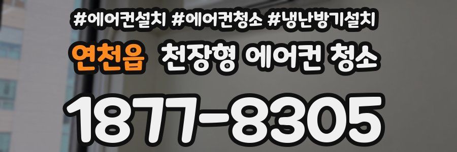 연천읍 천장형 에어컨 청소
