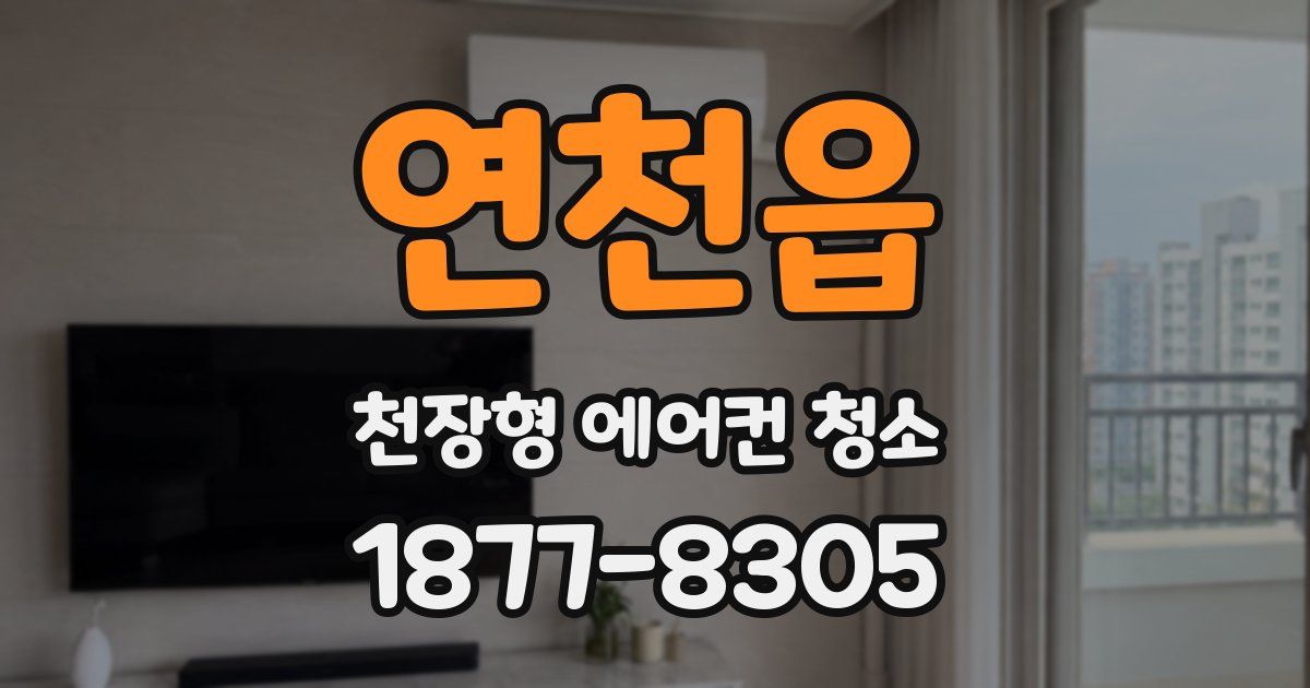 연천읍 천장형 에어컨 청소