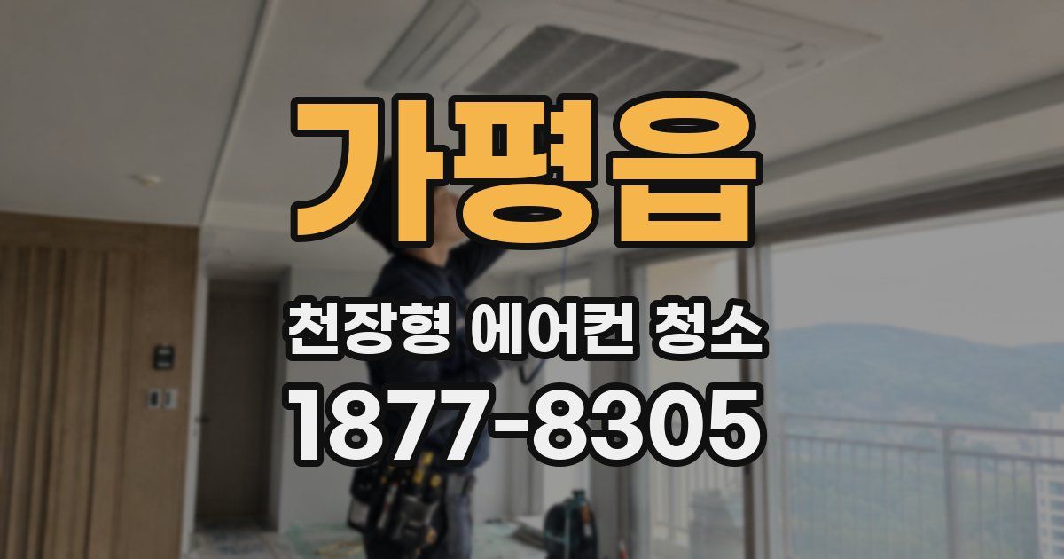 가평읍 천장형 에어컨 청소