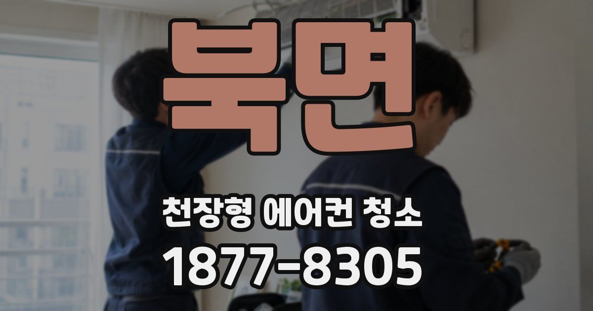 북면 천장형 에어컨 청소