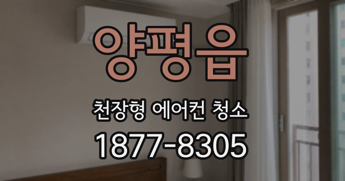 양평읍 천장형 에어컨 청소