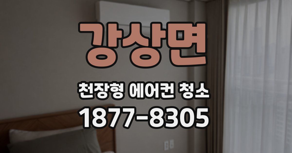 강상면 천장형 에어컨 청소