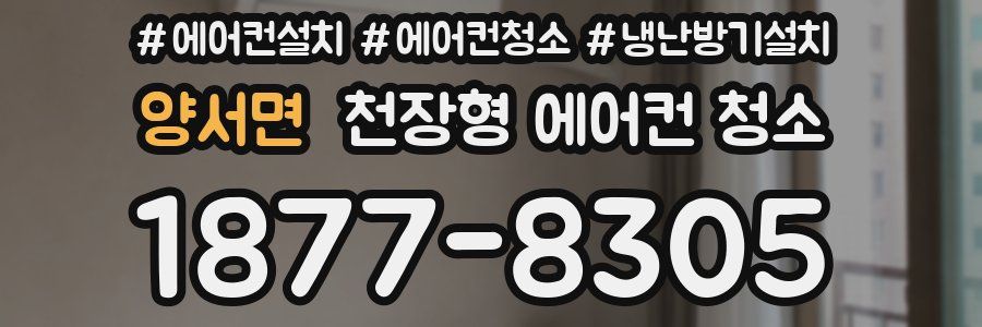 양서면 천장형 에어컨 청소