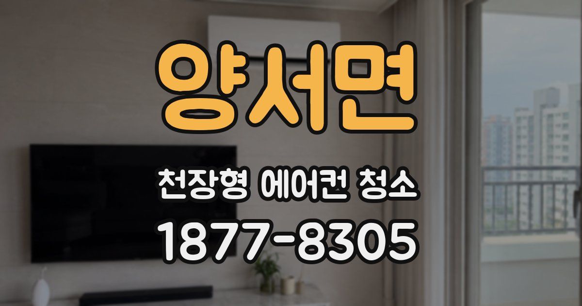 양서면 천장형 에어컨 청소