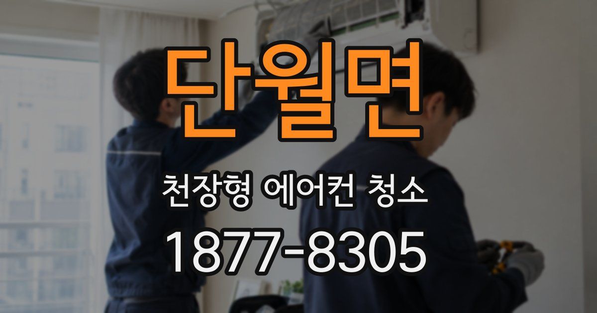단월면 천장형 에어컨 청소