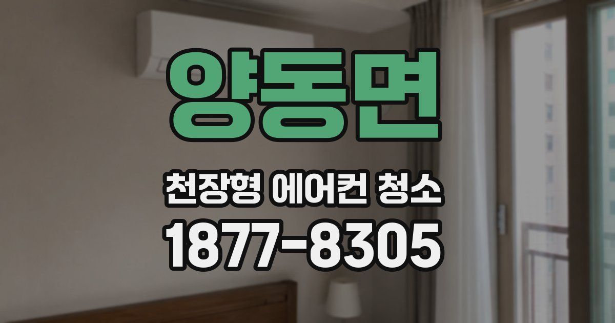 양동면 천장형 에어컨 청소