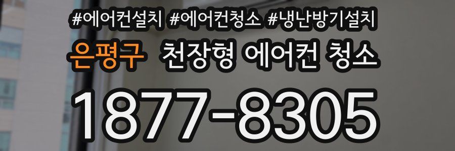 은평구 천장형 에어컨 청소