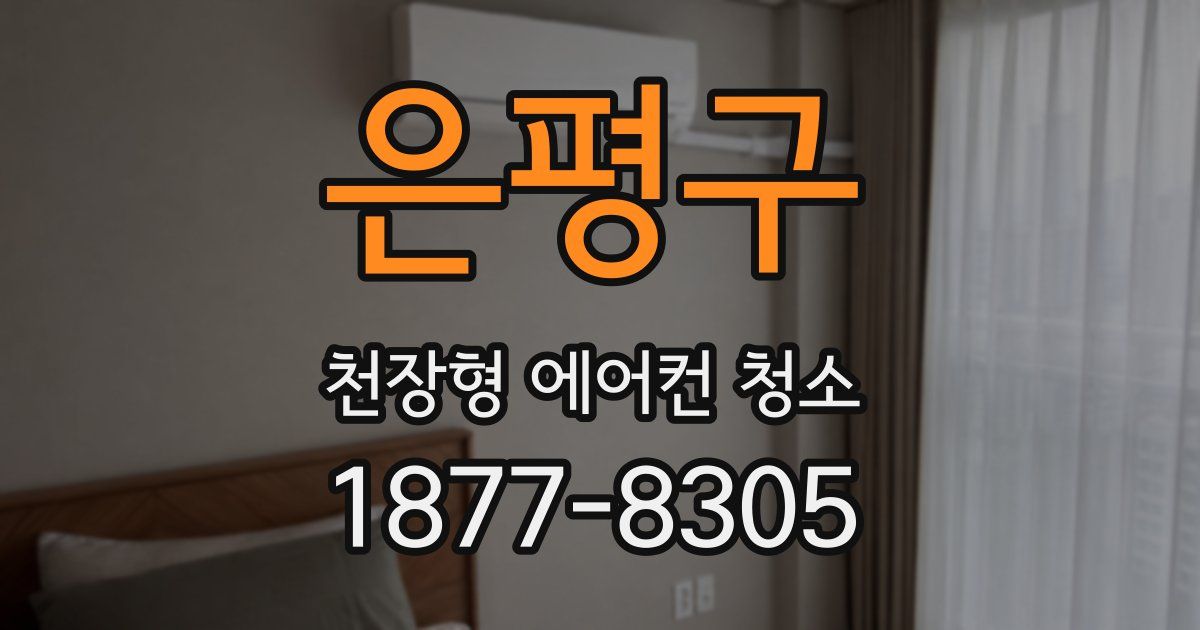은평구 천장형 에어컨 청소