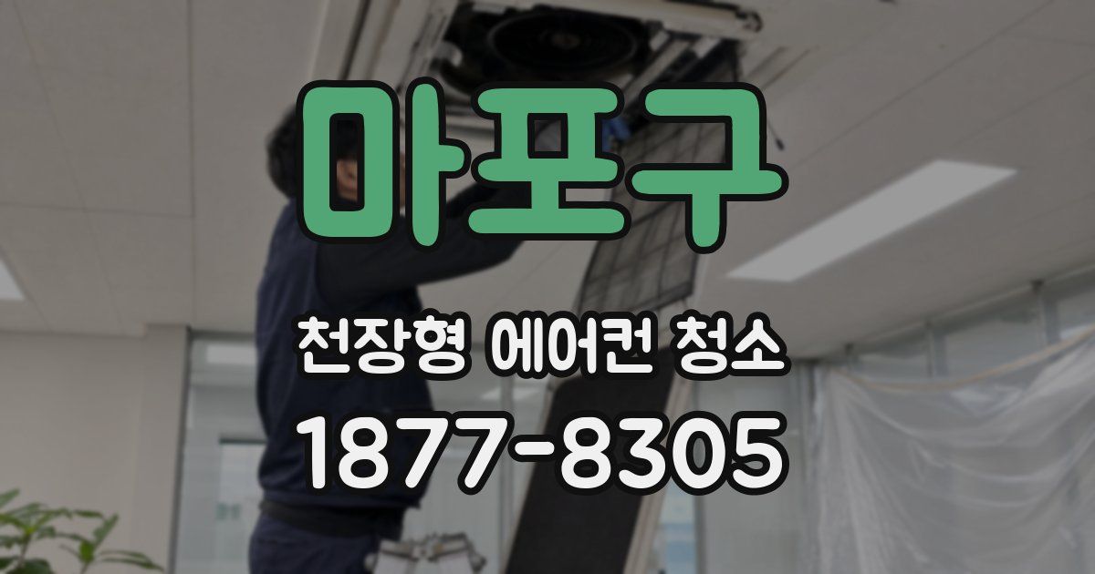 마포구 천장형 에어컨 청소