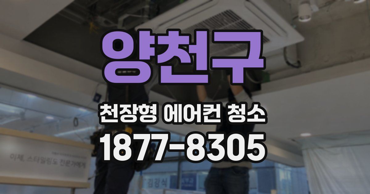 양천구 천장형 에어컨 청소