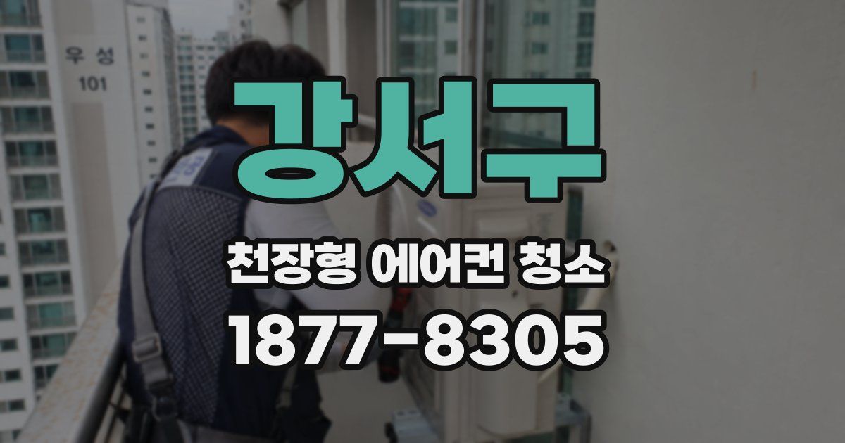 강서구 천장형 에어컨 청소