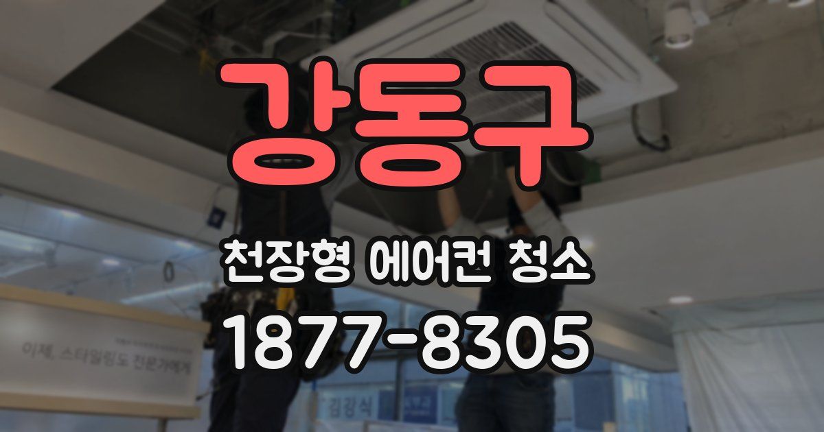 강동구 천장형 에어컨 청소