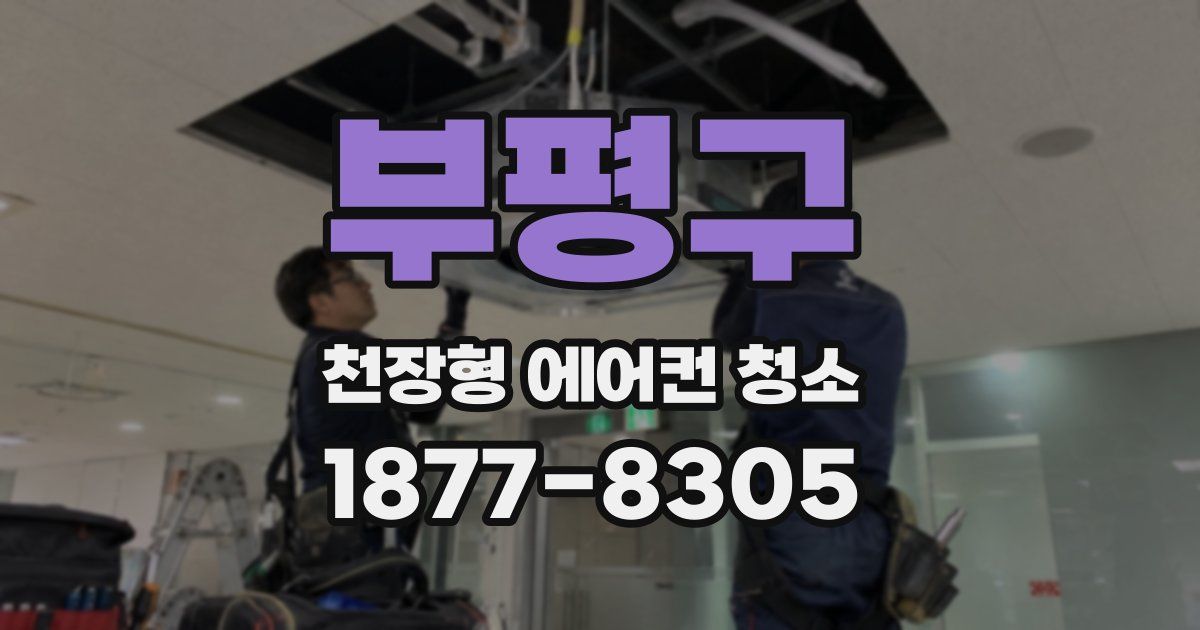 부평구 천장형 에어컨 청소