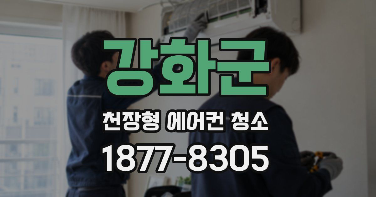 강화군 천장형 에어컨 청소