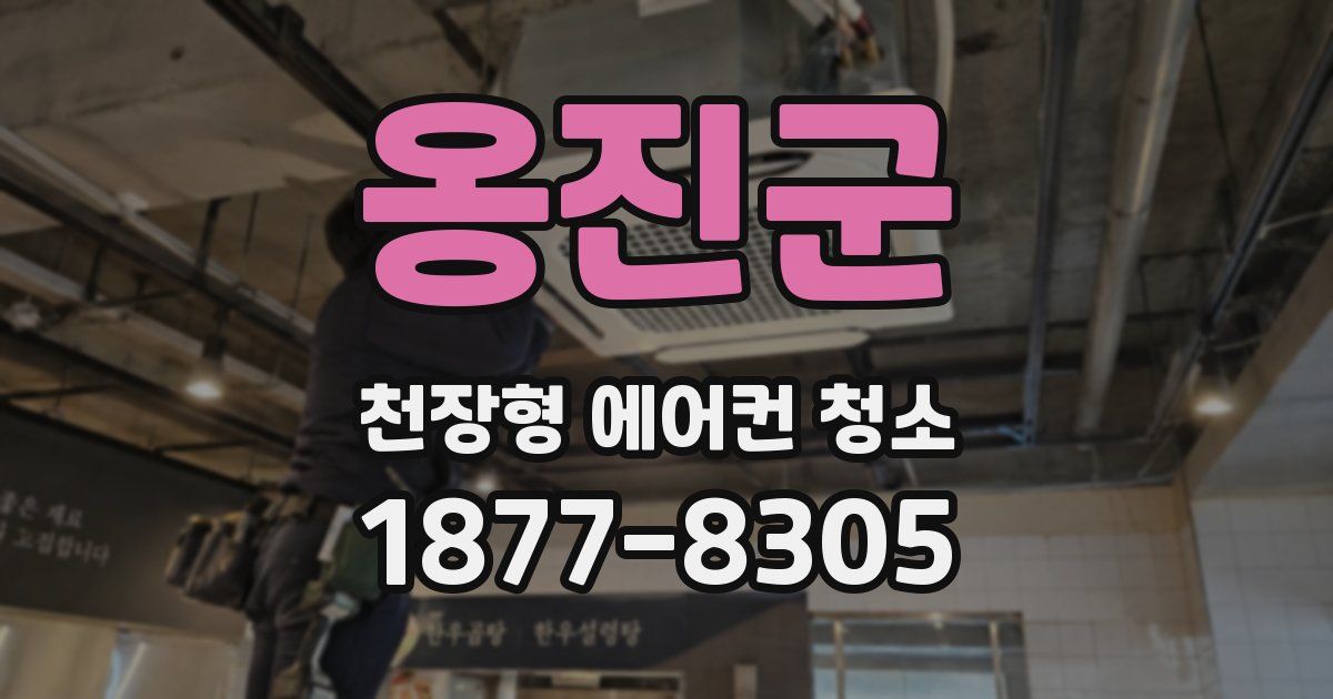옹진군 천장형 에어컨 청소