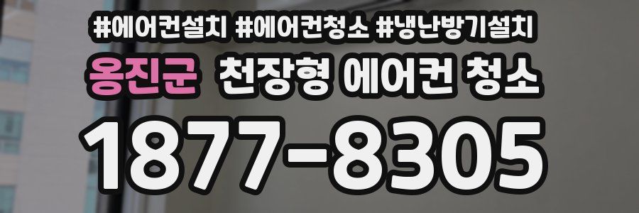 옹진군 천장형 에어컨 청소