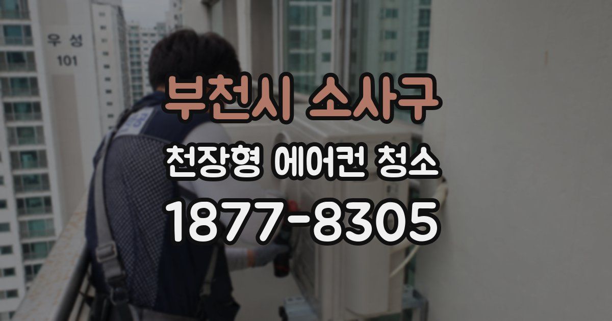 부천시 소사구 천장형 에어컨 청소