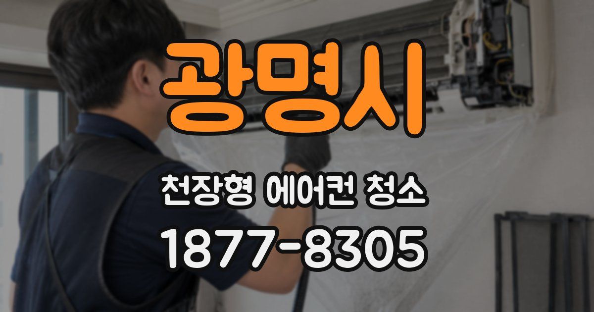광명시 천장형 에어컨 청소