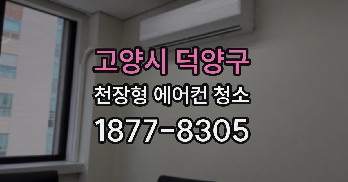 고양시 덕양구 천장형 에어컨 청소