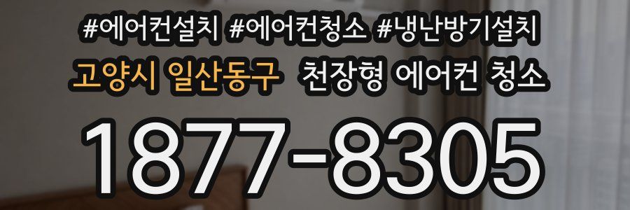 고양시 일산동구 천장형 에어컨 청소