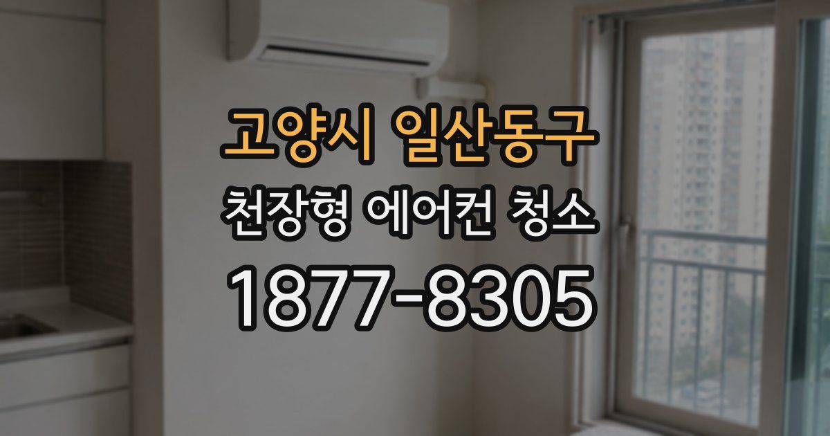 고양시 일산동구 천장형 에어컨 청소