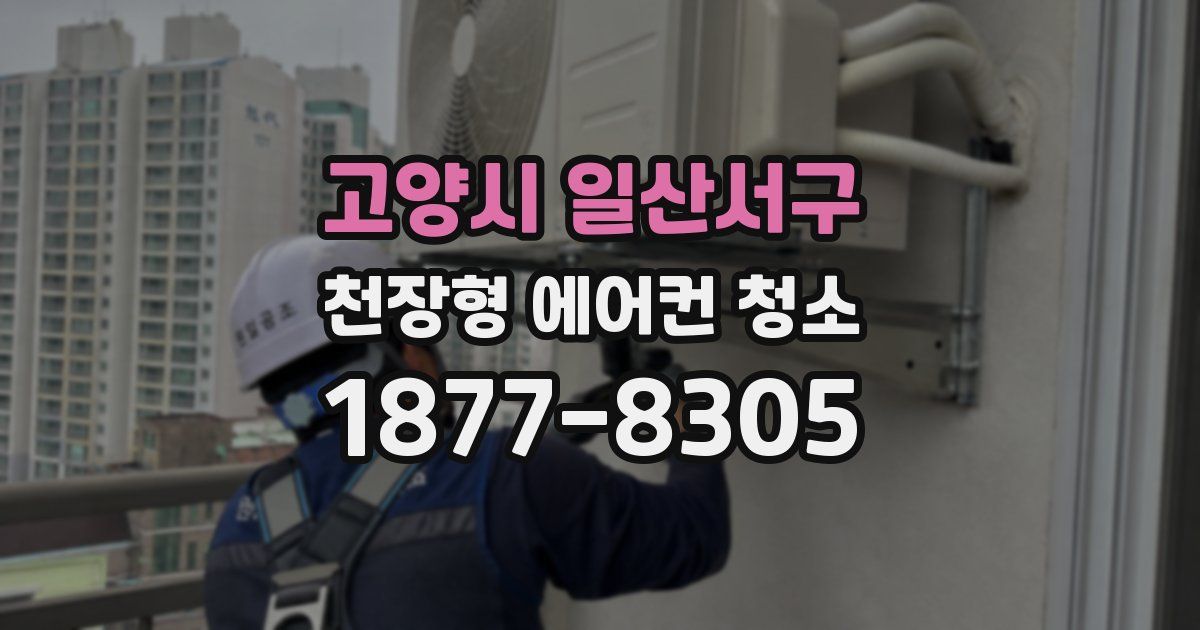 고양시 일산서구 천장형 에어컨 청소