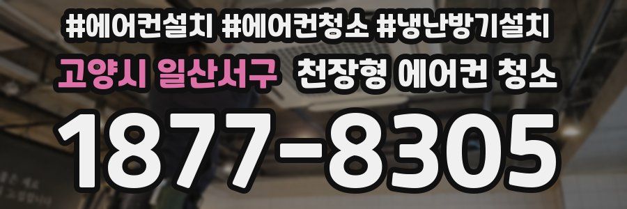 고양시 일산서구 천장형 에어컨 청소