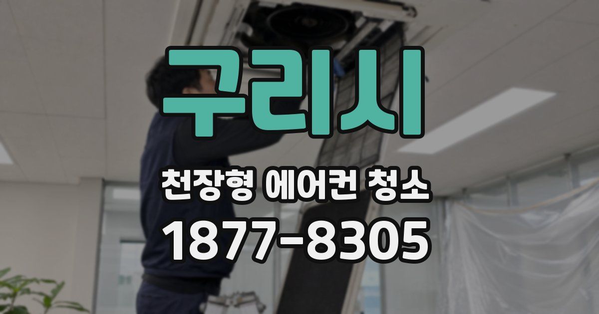구리시 천장형 에어컨 청소