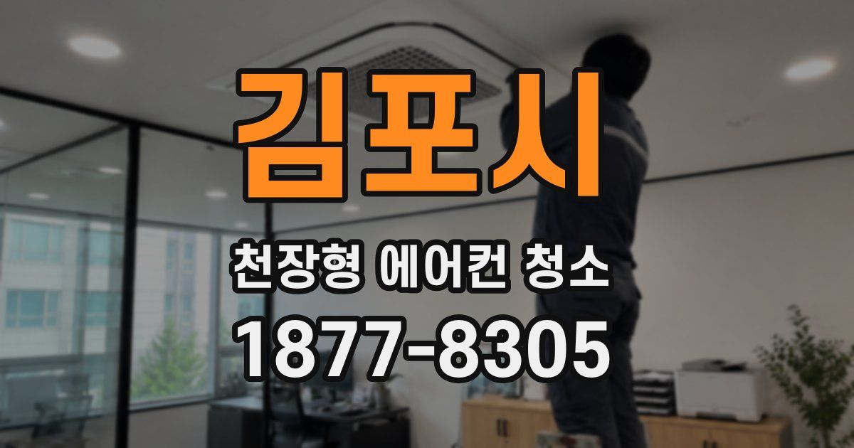 김포시 천장형 에어컨 청소