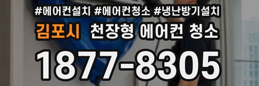 김포시 천장형 에어컨 청소